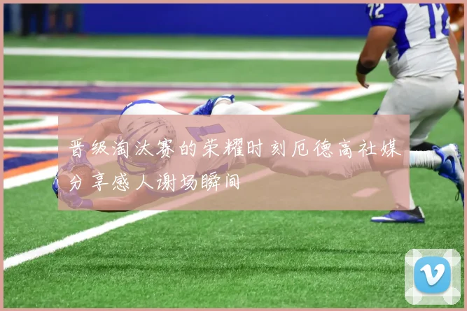 晋级淘汰赛的荣耀时刻厄德高社媒分享感人谢场瞬间
