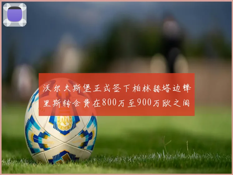 沃尔夫斯堡正式签下柏林赫塔边锋里斯转会费在800万至900万欧之间