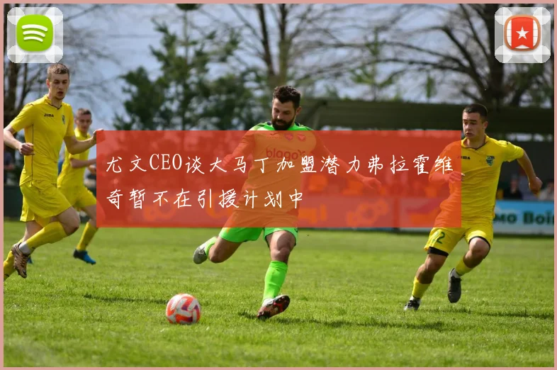 尤文CEO谈大马丁加盟潜力弗拉霍维奇暂不在引援计划中