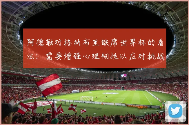 阿德勒对格纳布里缺席世界杯的看法：需要增强心理韧性以应对挑战